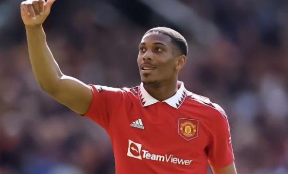 徵此行不仅 徵此行不仅